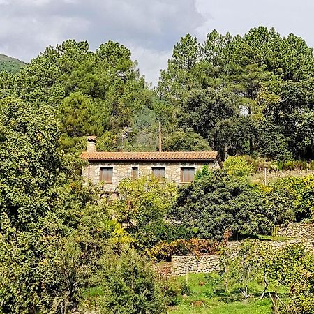 Casa Rural En Candeleda Con Piscina Y Un Maravilloso Jardin Bagian luar foto