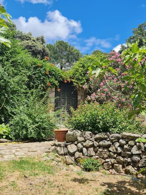 Casa Rural En Candeleda Con Piscina Y Un Maravilloso Jardin Bagian luar foto