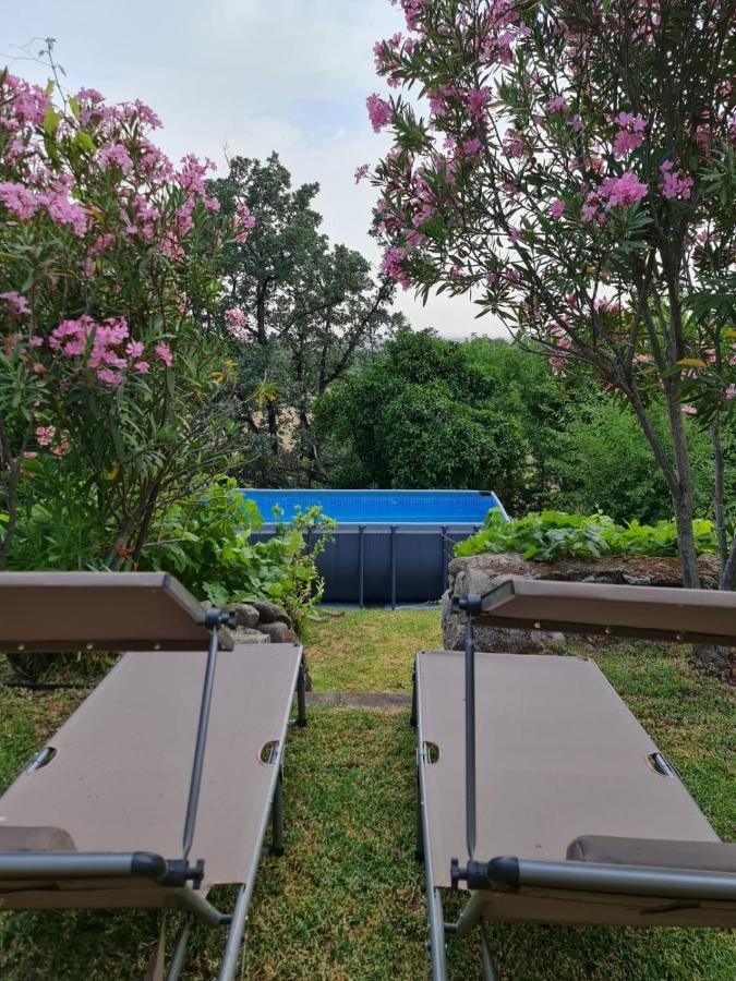 Casa Rural En Candeleda Con Piscina Y Un Maravilloso Jardin Bagian luar foto