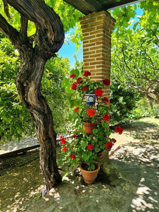 Casa Rural En Candeleda Con Piscina Y Un Maravilloso Jardin Bagian luar foto