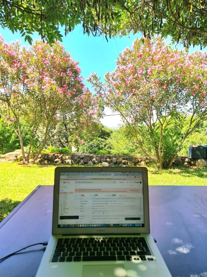 Casa Rural En Candeleda Con Piscina Y Un Maravilloso Jardin Bagian luar foto