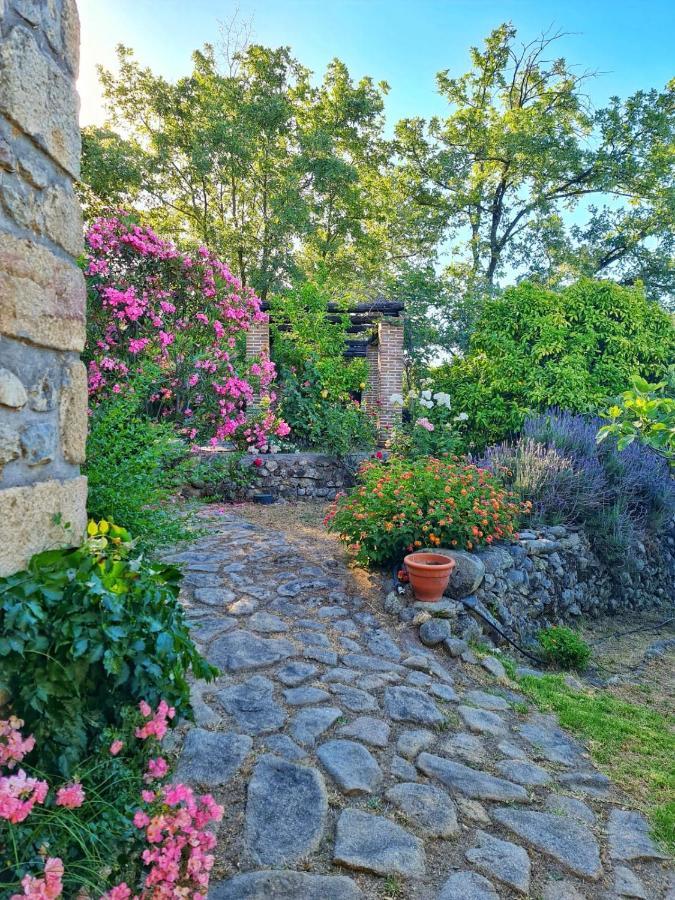 Casa Rural En Candeleda Con Piscina Y Un Maravilloso Jardin Bagian luar foto