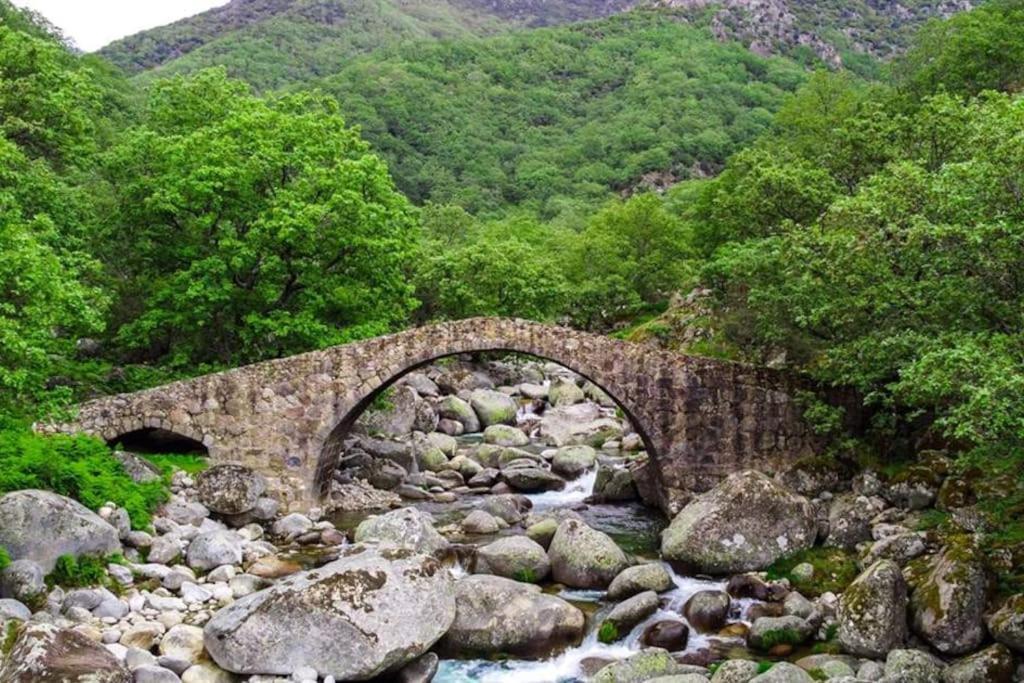 Casa Rural En Candeleda Con Piscina Y Un Maravilloso Jardin Bagian luar foto