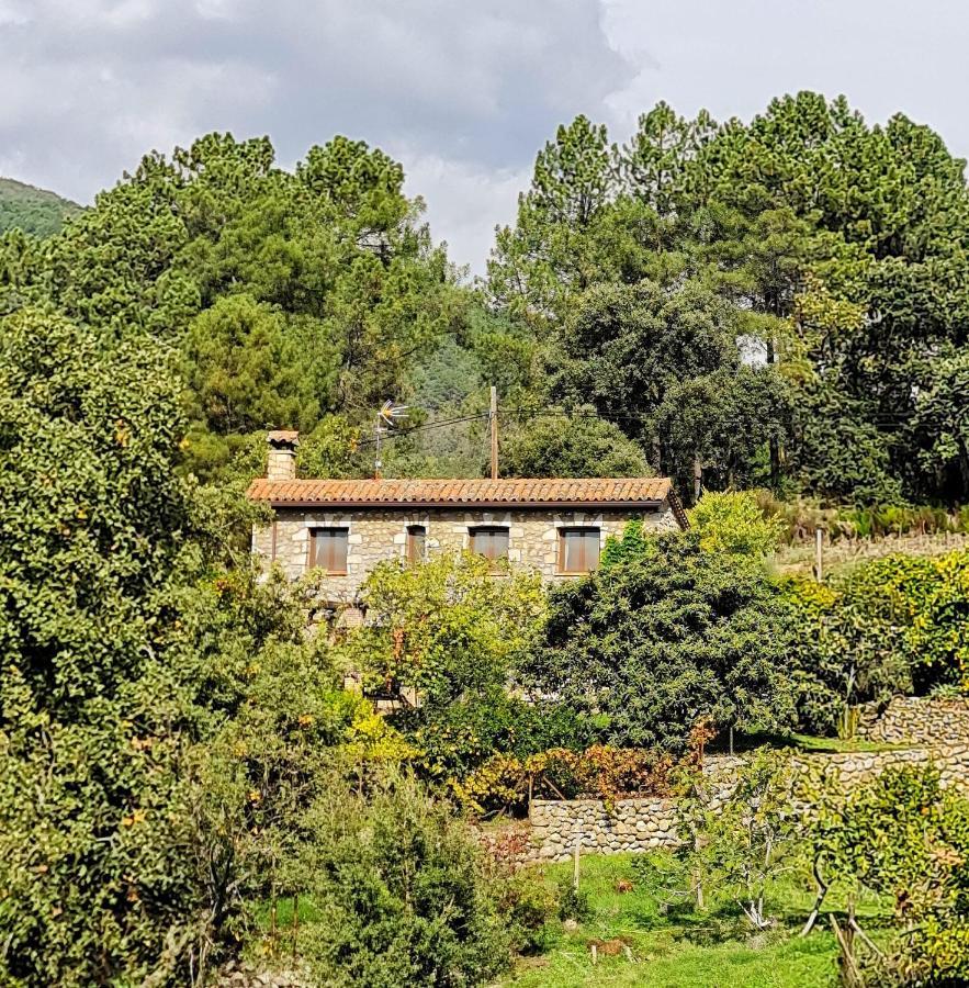 Casa Rural En Candeleda Con Piscina Y Un Maravilloso Jardin Bagian luar foto