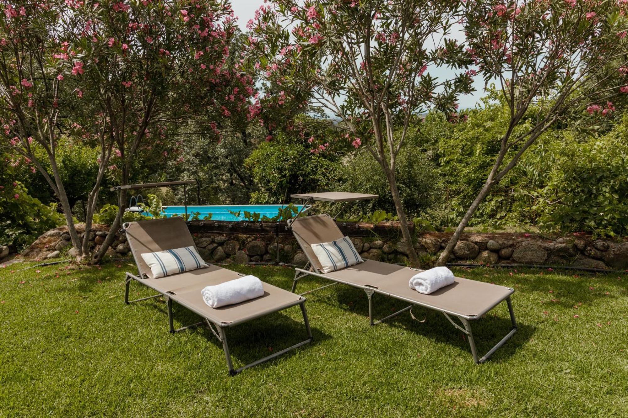 Casa Rural En Candeleda Con Piscina Y Un Maravilloso Jardin Bagian luar foto