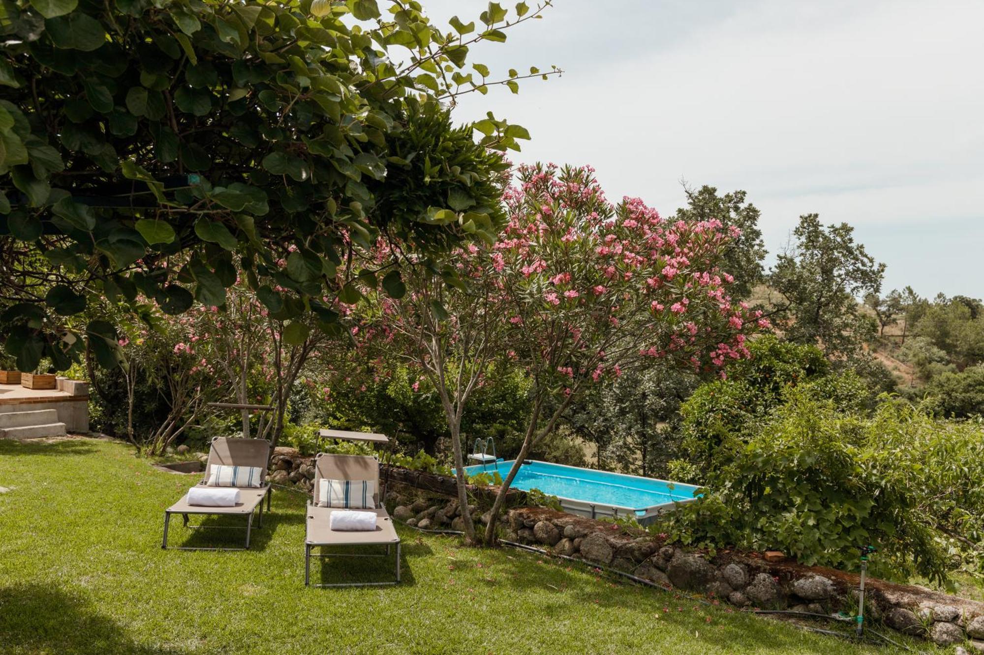 Casa Rural En Candeleda Con Piscina Y Un Maravilloso Jardin Bagian luar foto