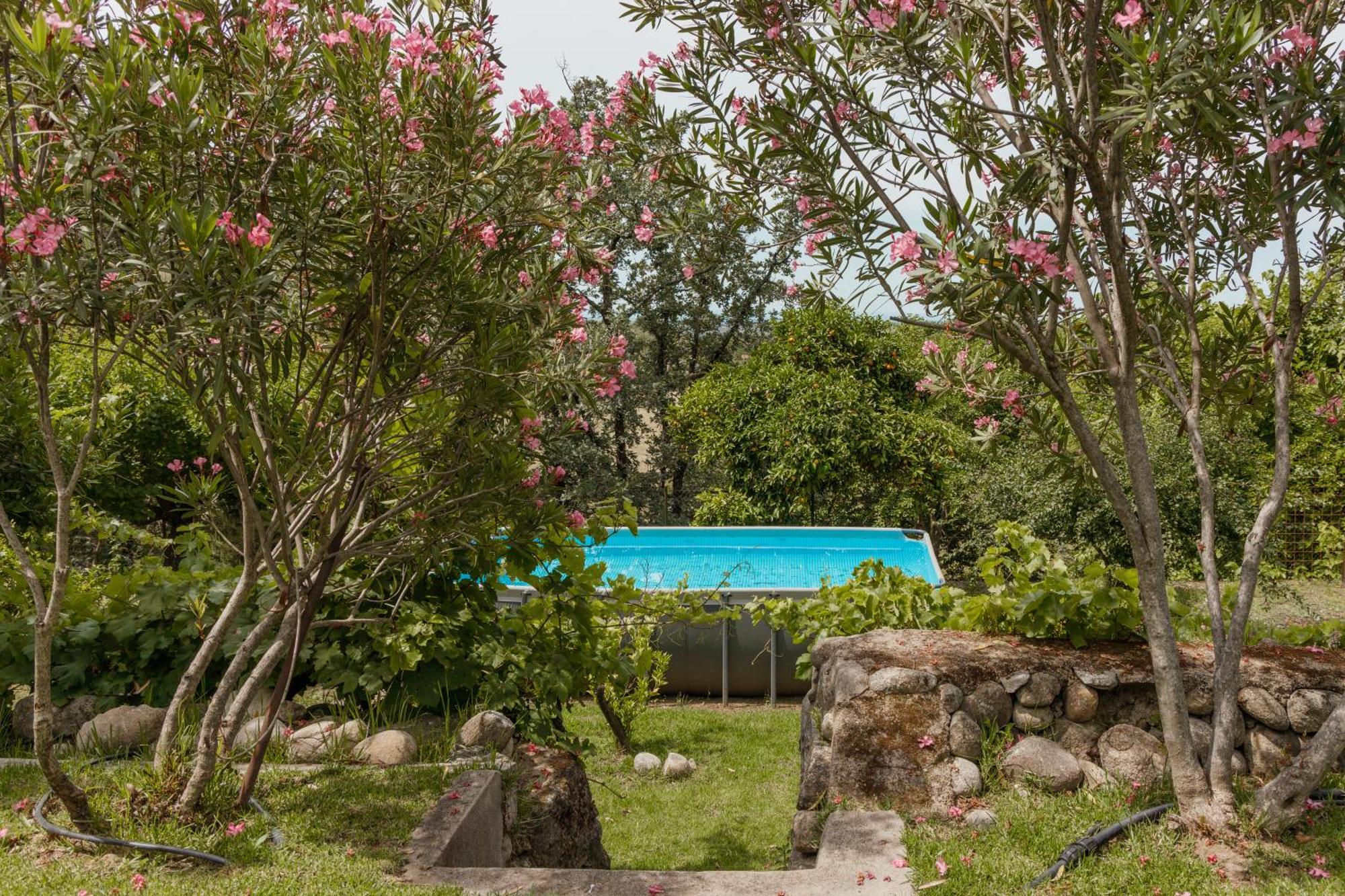 Casa Rural En Candeleda Con Piscina Y Un Maravilloso Jardin Bagian luar foto
